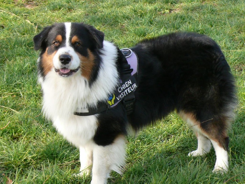 Iroquois tekoa du Domaine D'Arinella Bianca